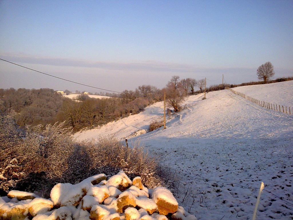 Domaine De Noyer Bed & Breakfast Saint-Christophe-en-Brionnais Ruang foto